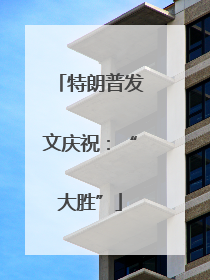 特朗普发文庆祝：“大胜”