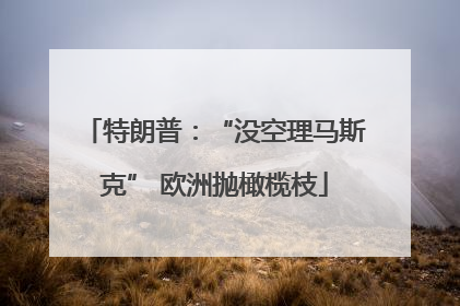 特朗普：“没空理马斯克” 欧洲抛橄榄枝