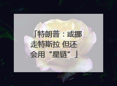特朗普：或挪走特斯拉 但还会用“星链”