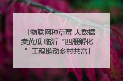 物联网种草莓 大数据卖黄瓜 临沂“四雁孵化”工程链动乡村共富