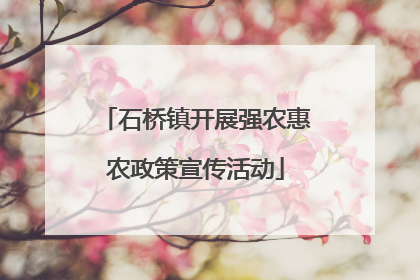 石桥镇开展强农惠农政策宣传活动