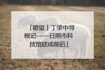 瞭望丨丁肇中寻根记——日照市科技馆建成前后