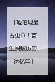 琥珀现最古虫草！寄生蚂蚁历史达亿年