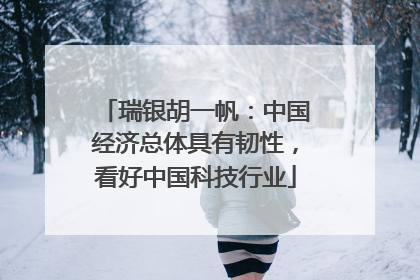 瑞银胡一帆：中国经济总体具有韧性，看好中国科技行业