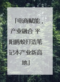 电商赋能，产业融合 平阳腾蛟打造笔记本产业新高地