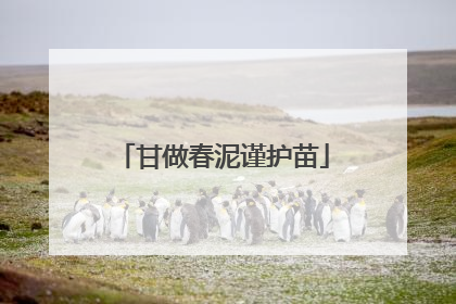 甘做春泥谨护苗