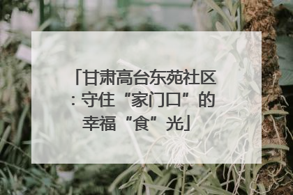 甘肃高台东苑社区：守住“家门口”的幸福“食”光