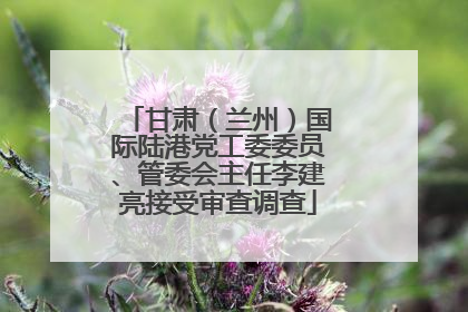 甘肃（兰州）国际陆港党工委委员、管委会主任李建亮接受审查调查