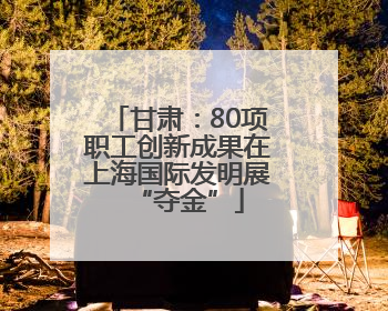 甘肃：80项职工创新成果在上海国际发明展“夺金”