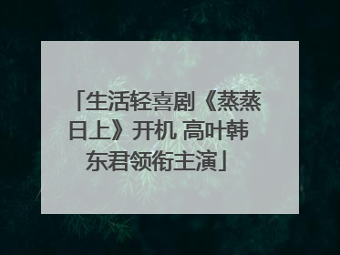 生活轻喜剧《蒸蒸日上》开机 高叶韩东君领衔主演