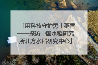 用科技守护黑土稻香——探访中国水稻研究所北方水稻研究中心