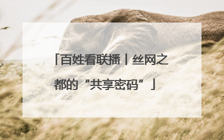 百姓看联播丨丝网之都的“共享密码”