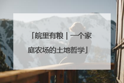 皖里有粮｜一个家庭农场的土地哲学