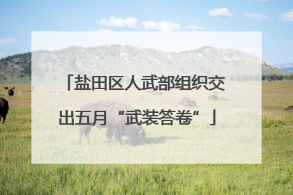 盐田区人武部组织交出五月“武装答卷”