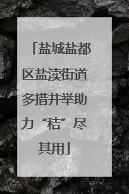 盐城盐都区盐渎街道多措并举助力“秸”尽其用