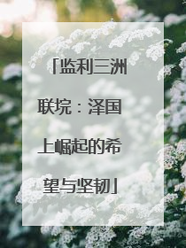 监利三洲联垸：泽国上崛起的希望与坚韧