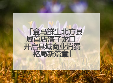 盒马鲜生北方县域首店落子龙口 开启县域商业消费格局新篇章