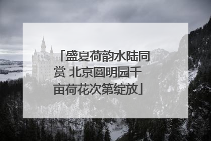 盛夏荷韵水陆同赏 北京圆明园千亩荷花次第绽放