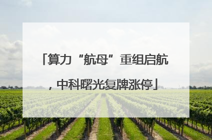 算力“航母”重组启航，中科曙光复牌涨停