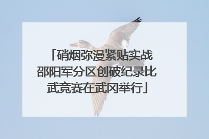 硝烟弥漫紧贴实战 邵阳军分区创破纪录比武竞赛在武冈举行