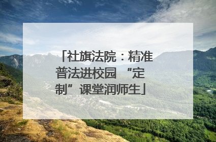 社旗法院：精准普法进校园 “定制”课堂润师生