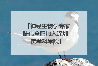 神经生物学专家陆伟全职加入深圳医学科学院
