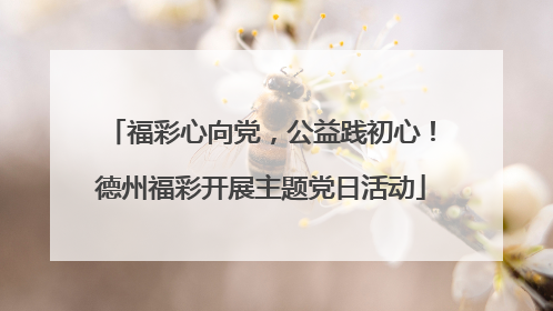 福彩心向党，公益践初心！德州福彩开展主题党日活动