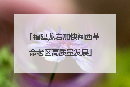 福建龙岩加快闽西革命老区高质量发展