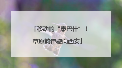 移动的“康巴什”！草原韵律驶向西安