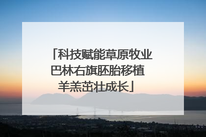 科技赋能草原牧业 巴林右旗胚胎移植羊羔茁壮成长