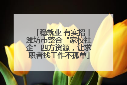 稳就业 有实招丨潍坊市整合“家校社企”四方资源，让求职者找工作不孤单