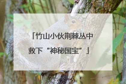 竹山小伙荆棘丛中救下“神秘国宝”