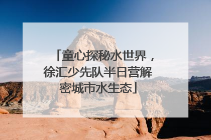 童心探秘水世界，徐汇少先队半日营解密城市水生态