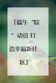 端午“粽”动员 打造幸福新社区