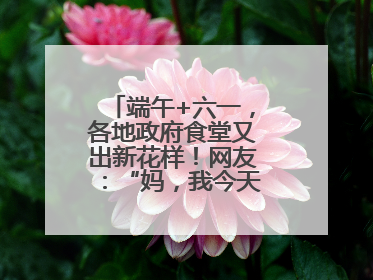端午+六一，各地政府食堂又出新花样！网友：“妈，我今天不回家吃了”