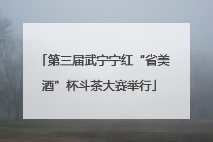 第三届武宁宁红“省美酒”杯斗茶大赛举行