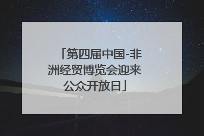 第四届中国-非洲经贸博览会迎来公众开放日