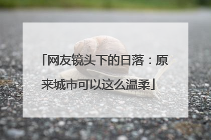 网友镜头下的日落：原来城市可以这么温柔