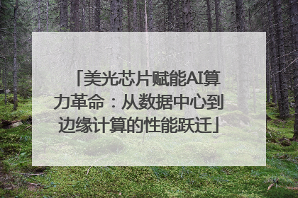 美光芯片赋能AI算力革命：从数据中心到边缘计算的性能跃迁