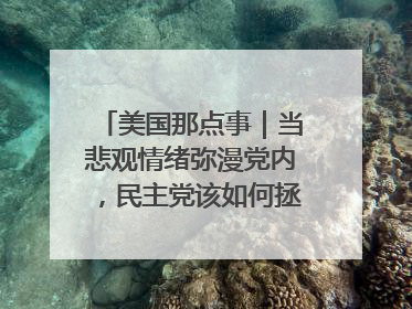 美国那点事｜当悲观情绪弥漫党内，民主党该如何拯救自己？