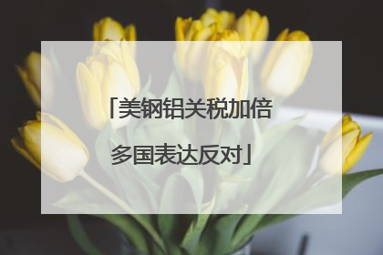 美钢铝关税加倍 多国表达反对