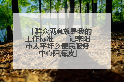 群众满意就是我的工作标准——记耒阳市太平圩乡便民服务中心阳海波