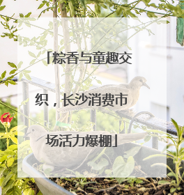粽香与童趣交织，长沙消费市场活力爆棚
