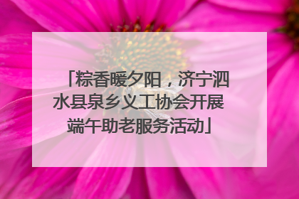 粽香暖夕阳，济宁泗水县泉乡义工协会开展端午助老服务活动