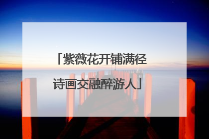 紫薇花开铺满径 诗画交融醉游人