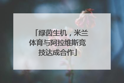绿茵生机，米兰体育与阿拉维斯竞技达成合作