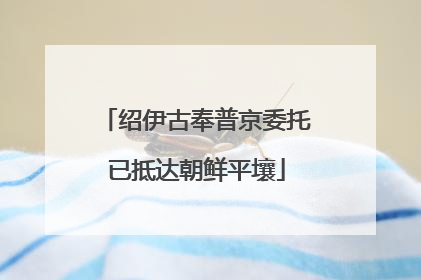 绍伊古奉普京委托已抵达朝鲜平壤