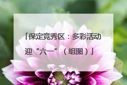 保定竞秀区：多彩活动迎“六一”（组图）