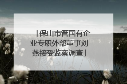 保山市管国有企业专职外部董事刘燕接受监察调查