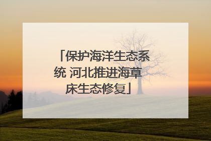 保护海洋生态系统 河北推进海草床生态修复
